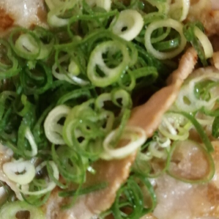 豚肉と刻みネギ